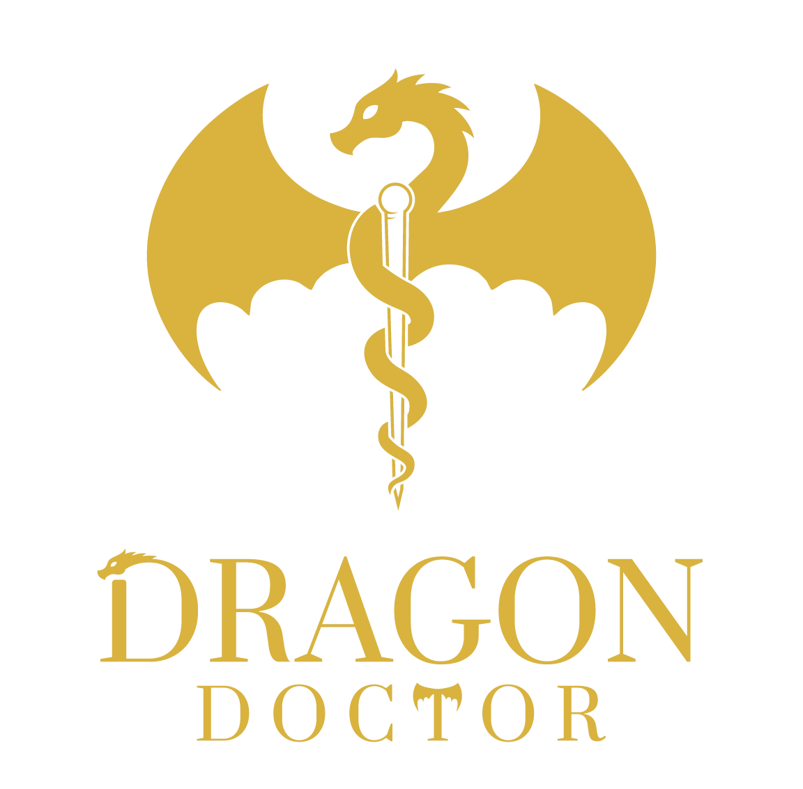 Dragon Doctor